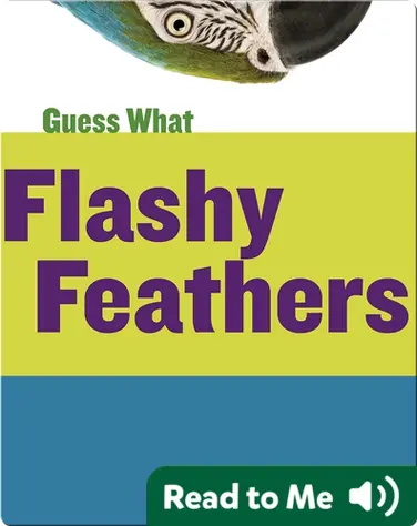 Flashy Feathers book