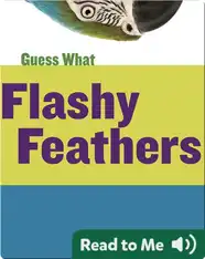 Flashy Feathers