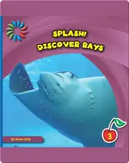 Discover Rays