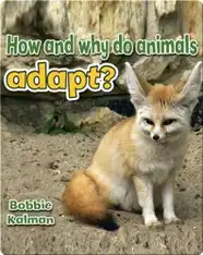 How and Why Do Animals Adapt?
