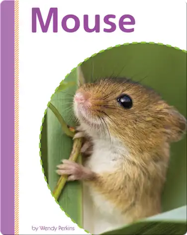 Mouse book