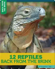 12 Reptiles Back From The Brink