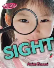 Sight