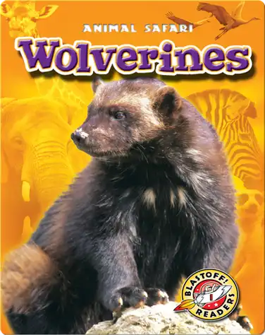Wolverines book
