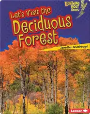 Let's Visit the Deciduous Forest