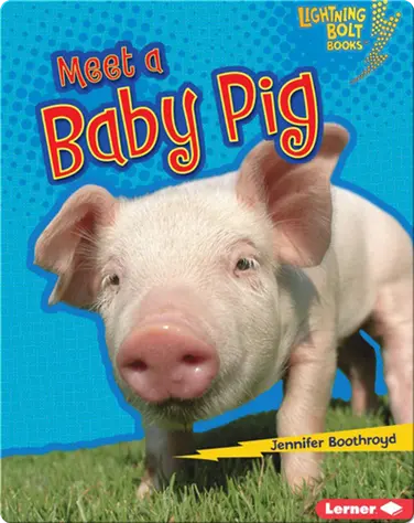 Meet a Baby Pig book