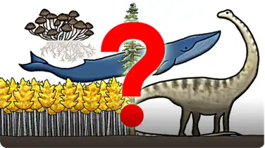 The Biggest Organism on Earth book