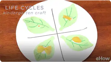 Kindergarten Crafts on Life Cycles book