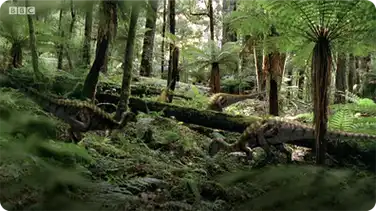 Changing Seasons - Walking With Dinosaurs book