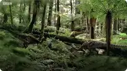 Changing Seasons - Walking With Dinosaurs