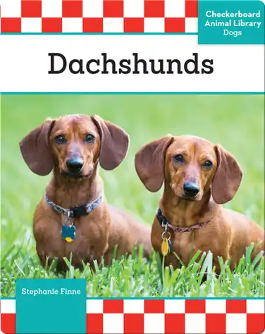 Dachshunds book