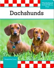 Dachshunds