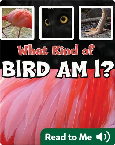 What Kind of Bird Am I? book