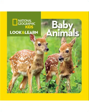 National Geographic Kids Look and Learn: Baby Animals book