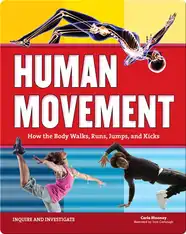 Human Movement: How the Body Walks, Runs, Jumps, and Kicks