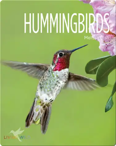 Hummingbirds book