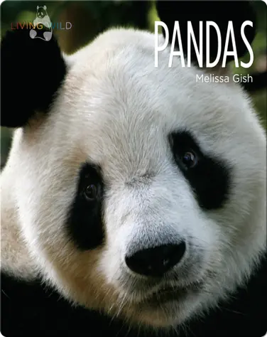 Pandas book