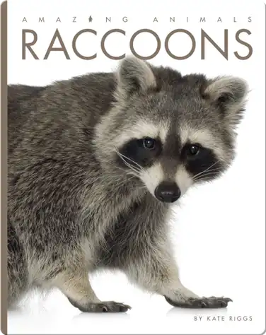 Raccoons book