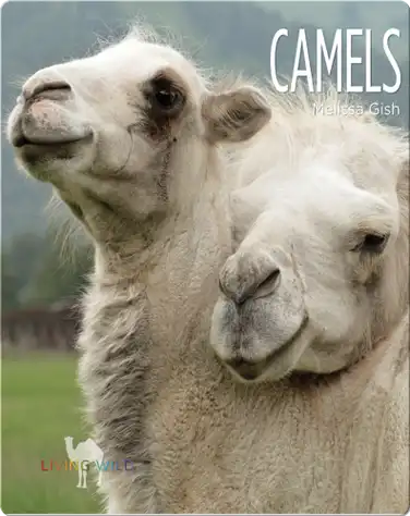 Camels book