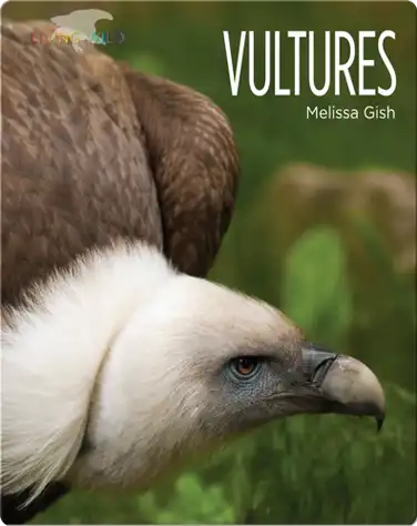 Vultures book