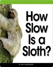 How Slow Is a Sloth?
