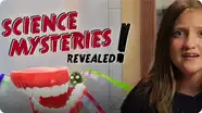 What If I Stopped Brushing My Teeth? | SCIENCE MYSTERIES REVEALED