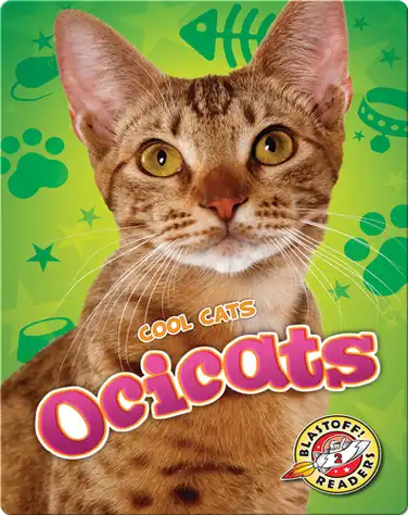 Cool Cats: Ocicats book