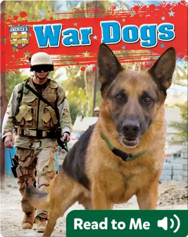 War Dogs book