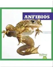 Clasificación Animal: Anfibios