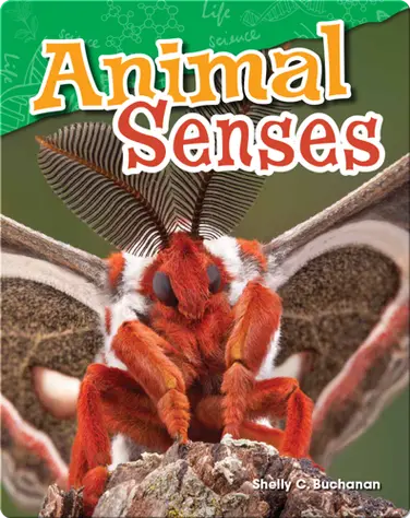 Animal Senses book