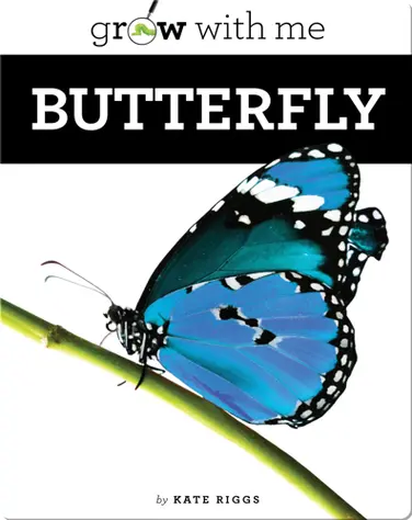 Butterfly book