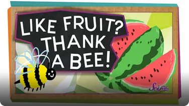 SciShow Kids: Pollination: How Bees Help Make Fruit! book