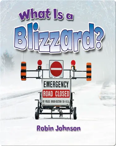 What Is a Blizzard? book