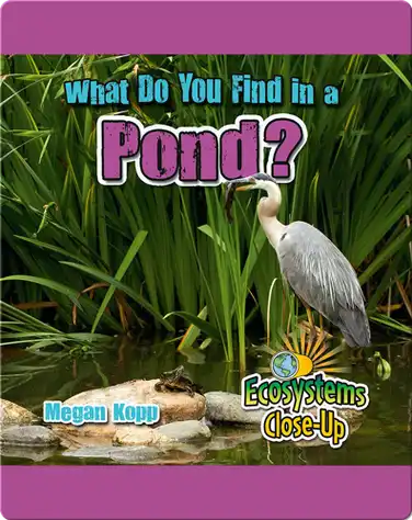 What Do You Find in a Pond? book