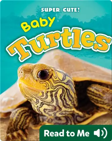 Super Cute! Baby Turtles book