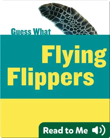 Flying Flippers book