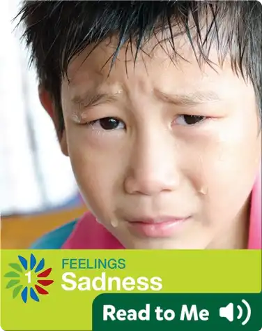 Sadness book