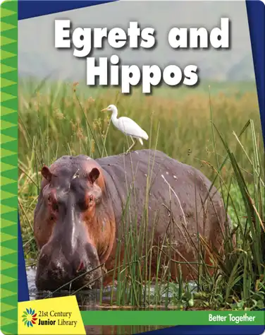 Egrets and Hippos book