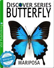Butterfly / Mariposa