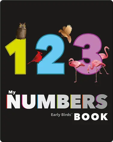 My Numbers Book (Early Birds Learning) book