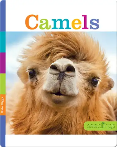 Camels book