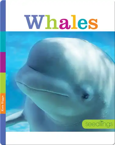 Whales book