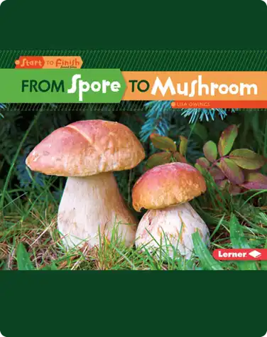 From Spore to Mushroom book