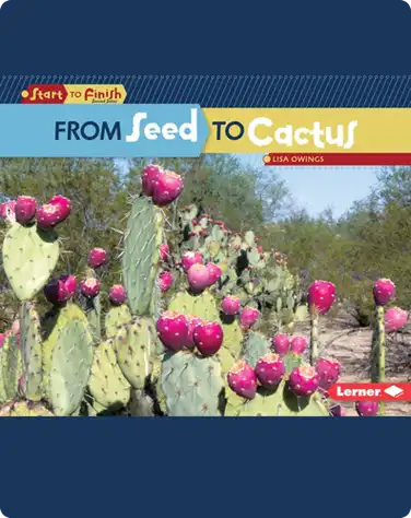 From Seed to Cactus book