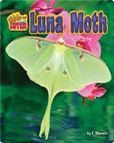 Luna Moth book
