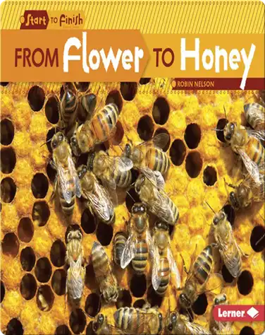 From Flower to Honey book