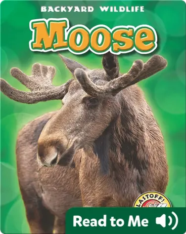 Backyard Wildlife: Moose book