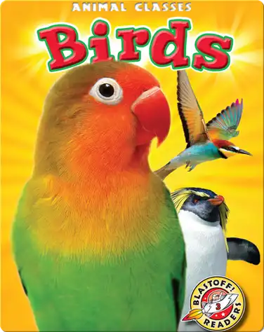 Animal Classes: Birds book