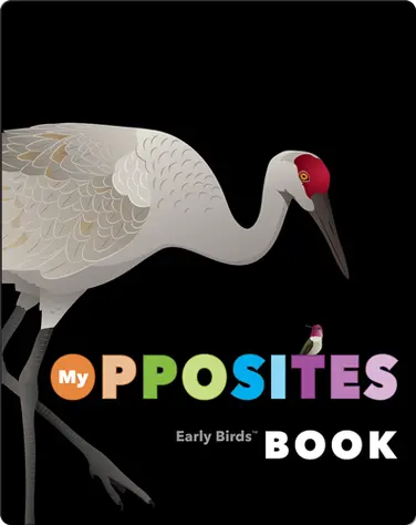 My Opposites Book (Early Birds Learning) book