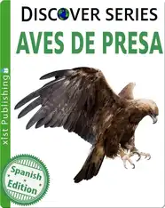 Aves de Presa